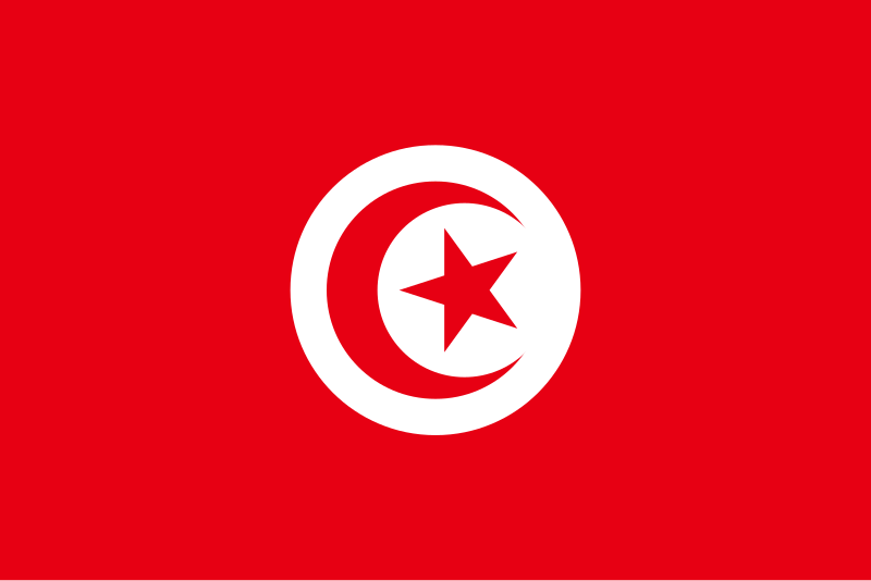 Tunisia is the 10th African Countries with Lowest Internet Rates